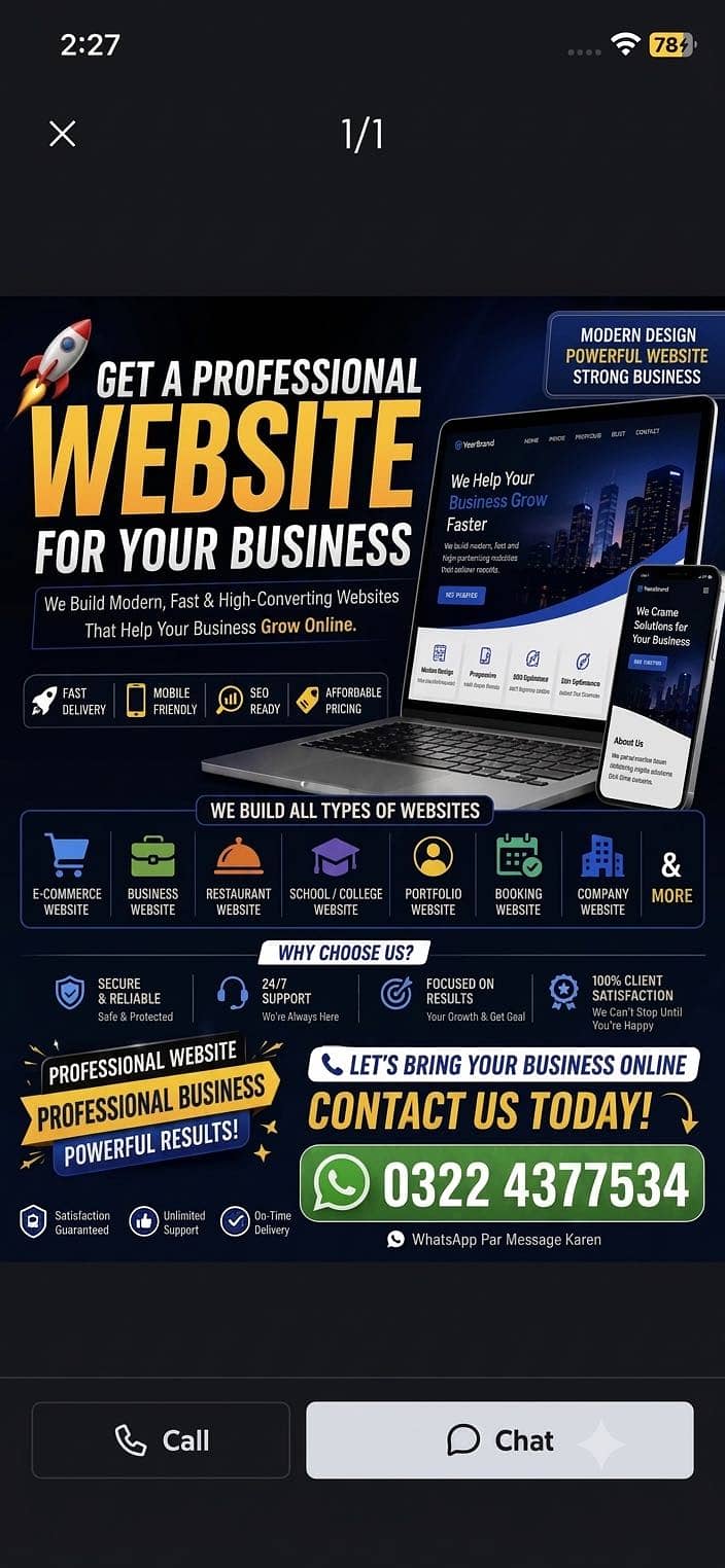 Professional website developer 0
