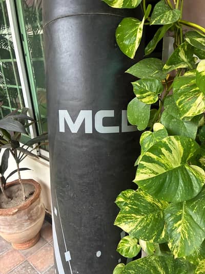 Punching bag for sale