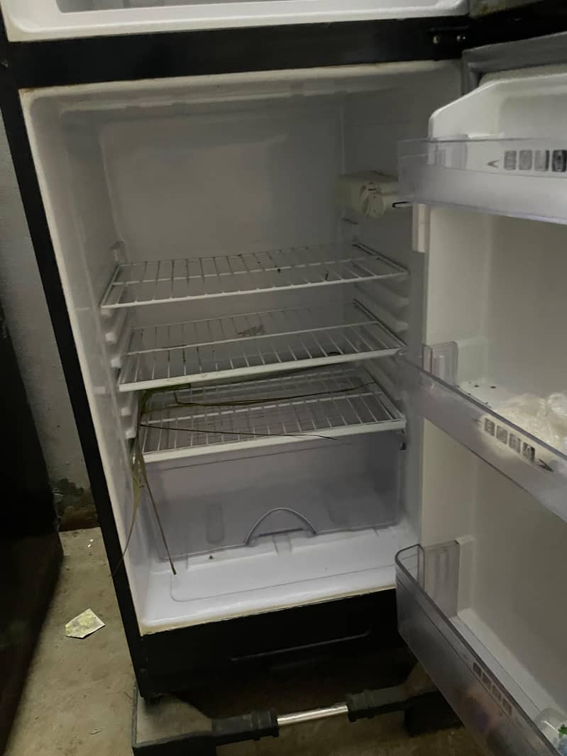fridge 2