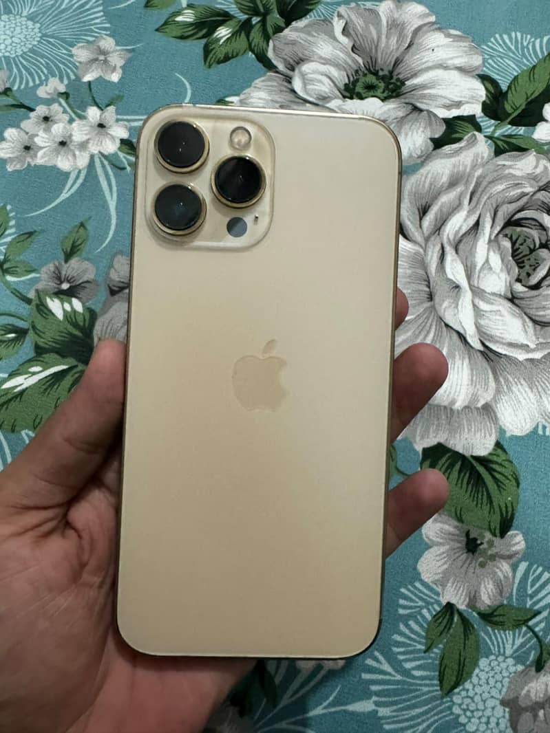 13 pro max 2