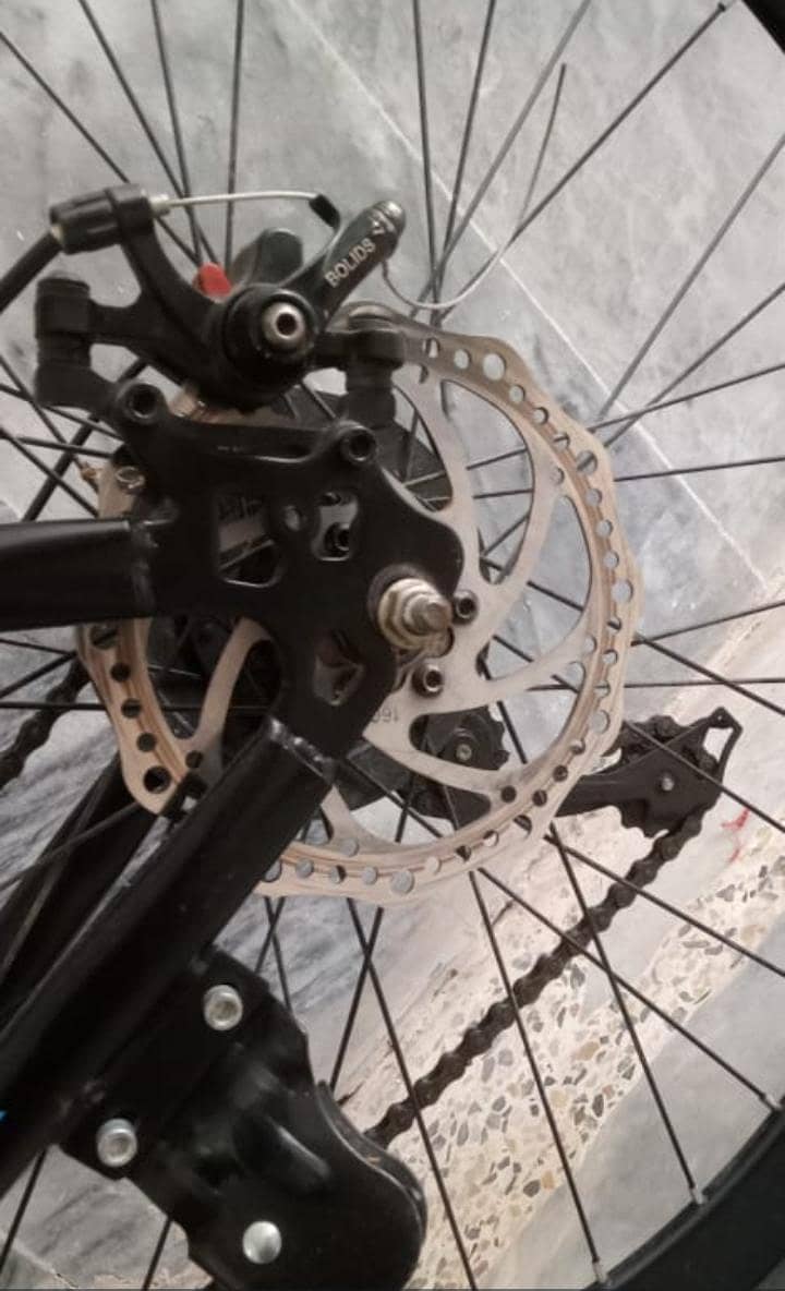 Bi Cycle 1