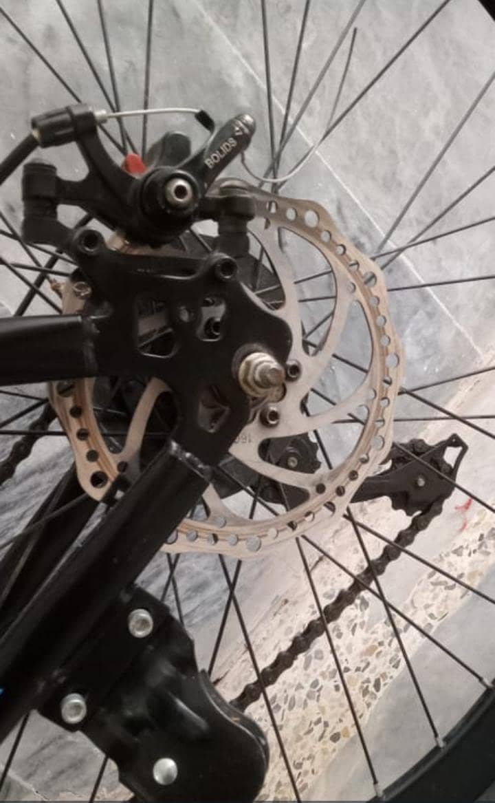 Bi Cycle 2
