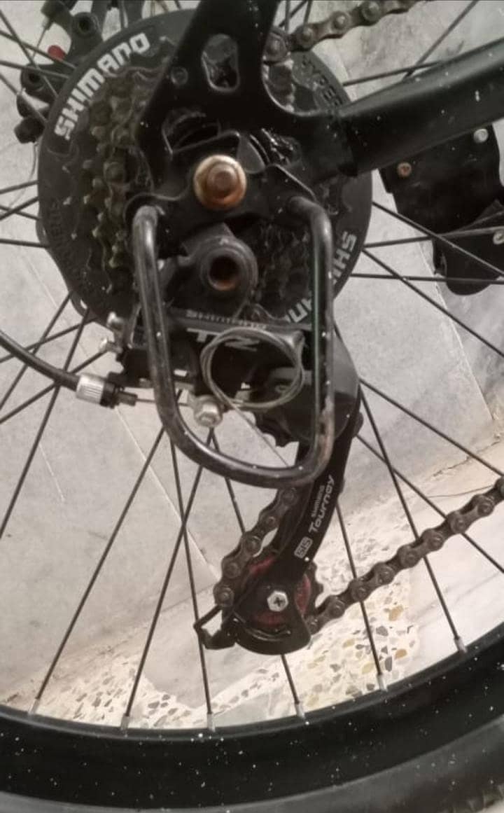 Bi Cycle 4
