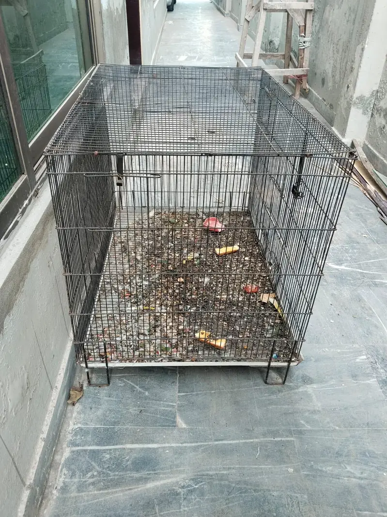 a big size cage for breeding parrots — photo 2
