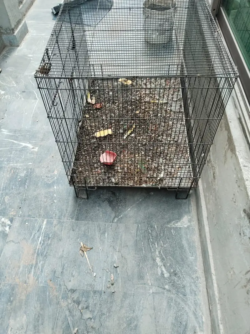 a big size cage for breeding parrots — photo 4