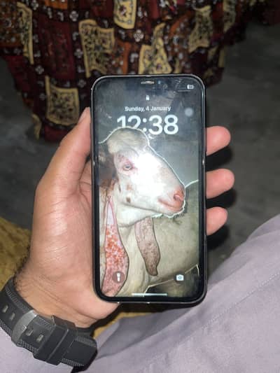 Apple iPhone XR