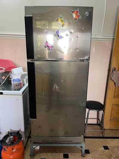 Pel Fridge (Refrigerator & Freezer)