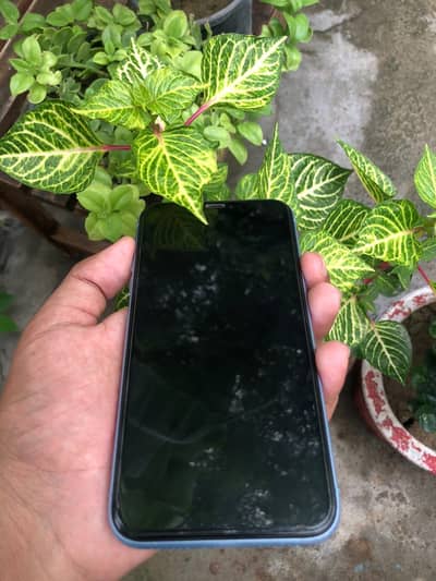 Apple iPhone XR Exchange android read Add