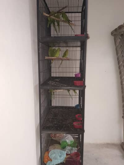 parrot per pic 2800 final