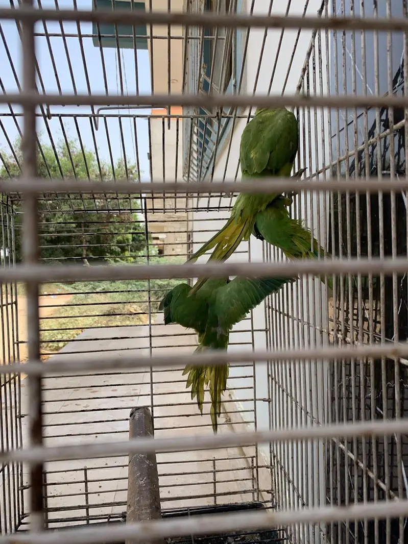 WhatsApp 03238064876 — photo 2