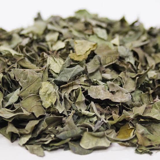 premium organic moringa powder and dried moringa leaves 3