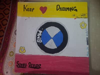 BMW painting