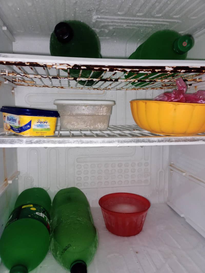 PELL ( FULL SIZE ) REFRIGERATOR 3
