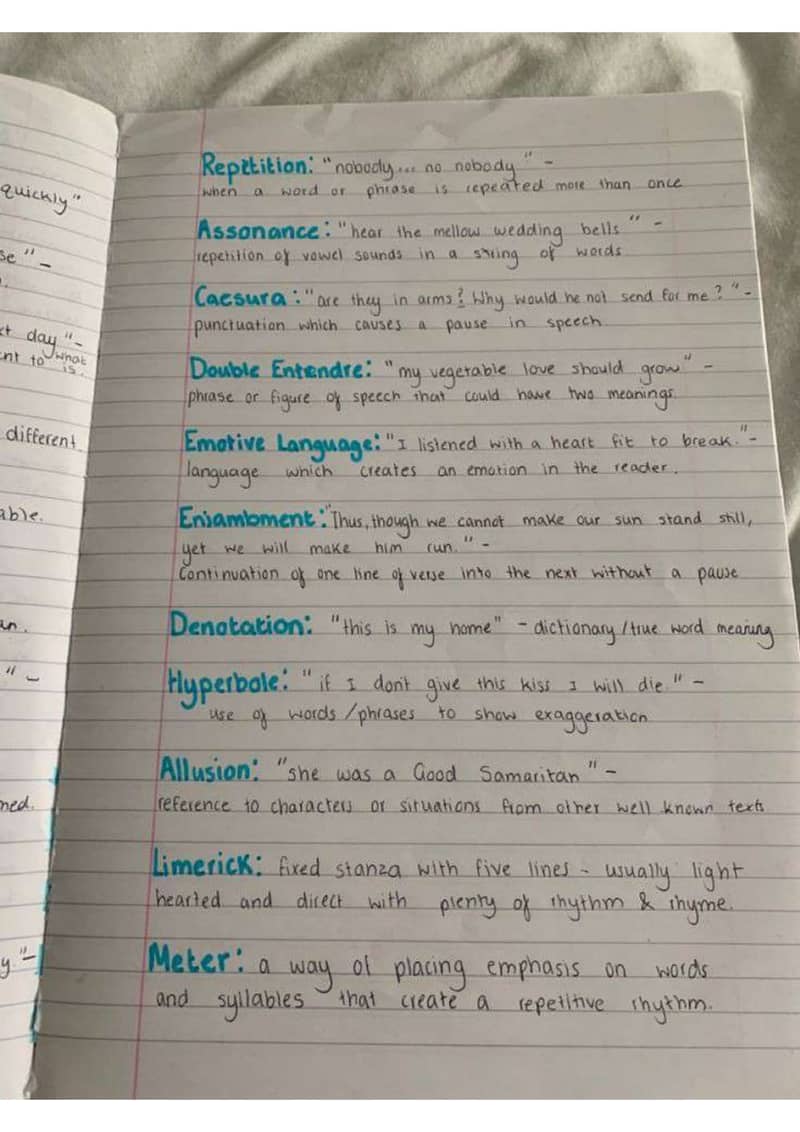 Assignment writing and calligraphist 0