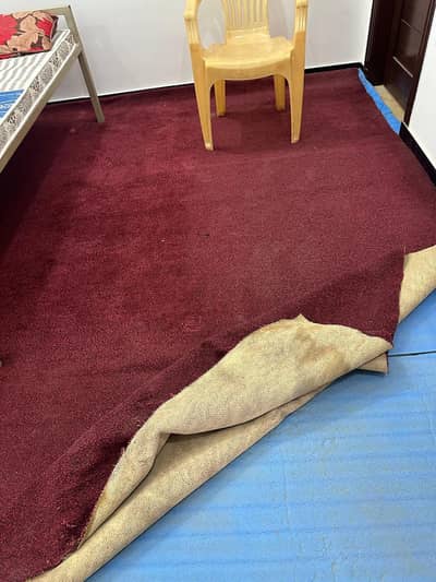 Red Carpet for sale in reasonable pricr