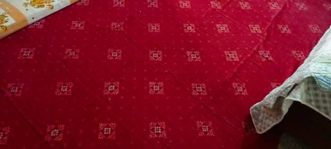 Rough and Cheap Carpet
