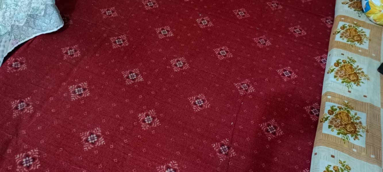 Rough and Cheap Carpet 1
