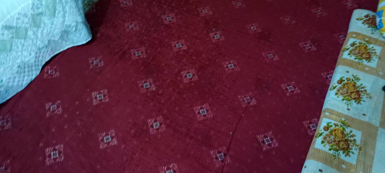Rough and Cheap Carpet 2
