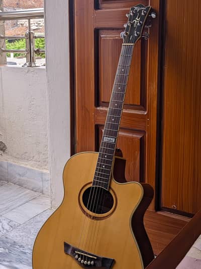 Tagima Dallas EQ NT (Brazil) - Acoustic Electric