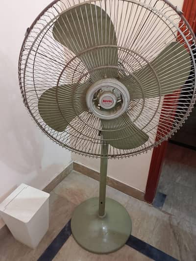 Royal fan