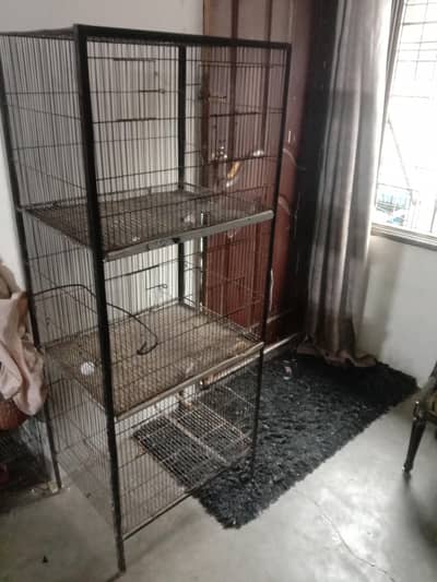 all okay parrots cage height 5 feet size 2 by 1.5 feet urgent sale