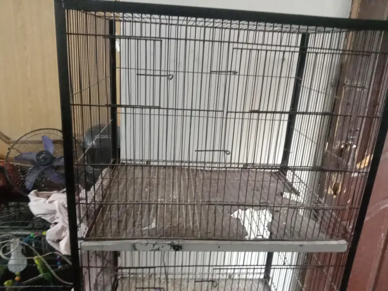 all okay parrots cage height 5 feet size 2 by 1.5 feet urgent sale — photo 2