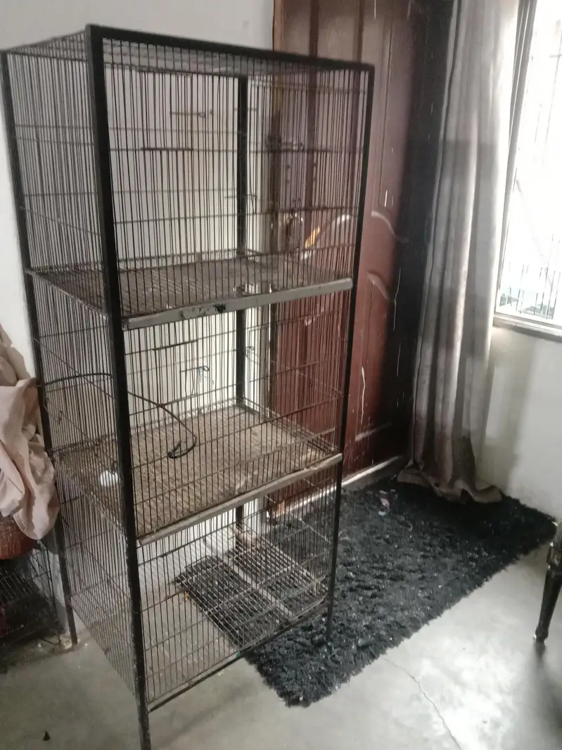 all okay parrots cage height 5 feet size 2 by 1.5 feet urgent sale — photo 3