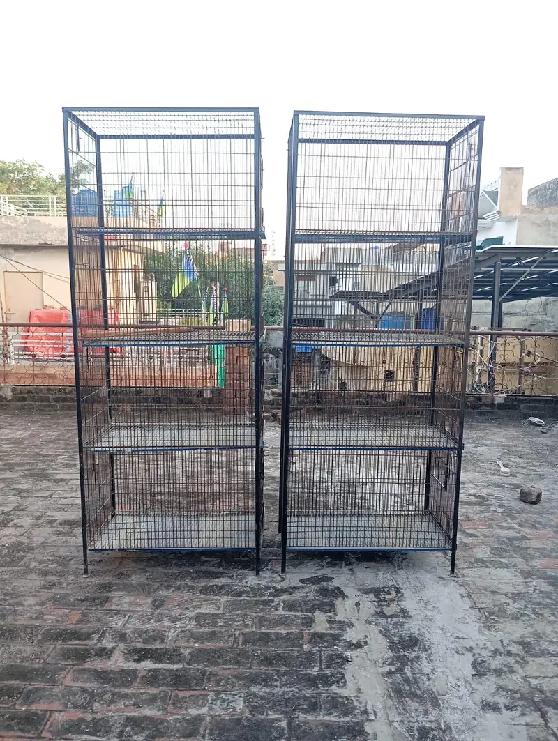 iron cages — photo 3