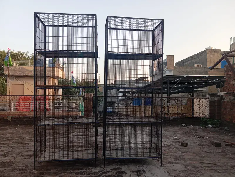iron cages — photo 4