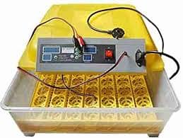Automatic Egg Incubator | Brooder | Egg Hatching Machine | Pakistan 4