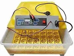 Automatic Egg Incubator | Brooder | Egg Hatching Machine | Pakistan — photo 5