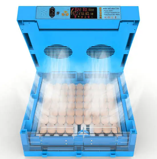 Automatic Egg Incubator | Brooder | Egg Hatching Machine | Pakistan — photo 8