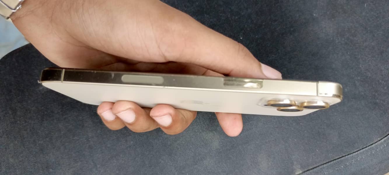 Apple iPhone 12 Pro Max 1