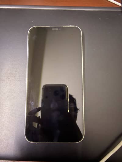 Apple iPhone 12 Pro Max