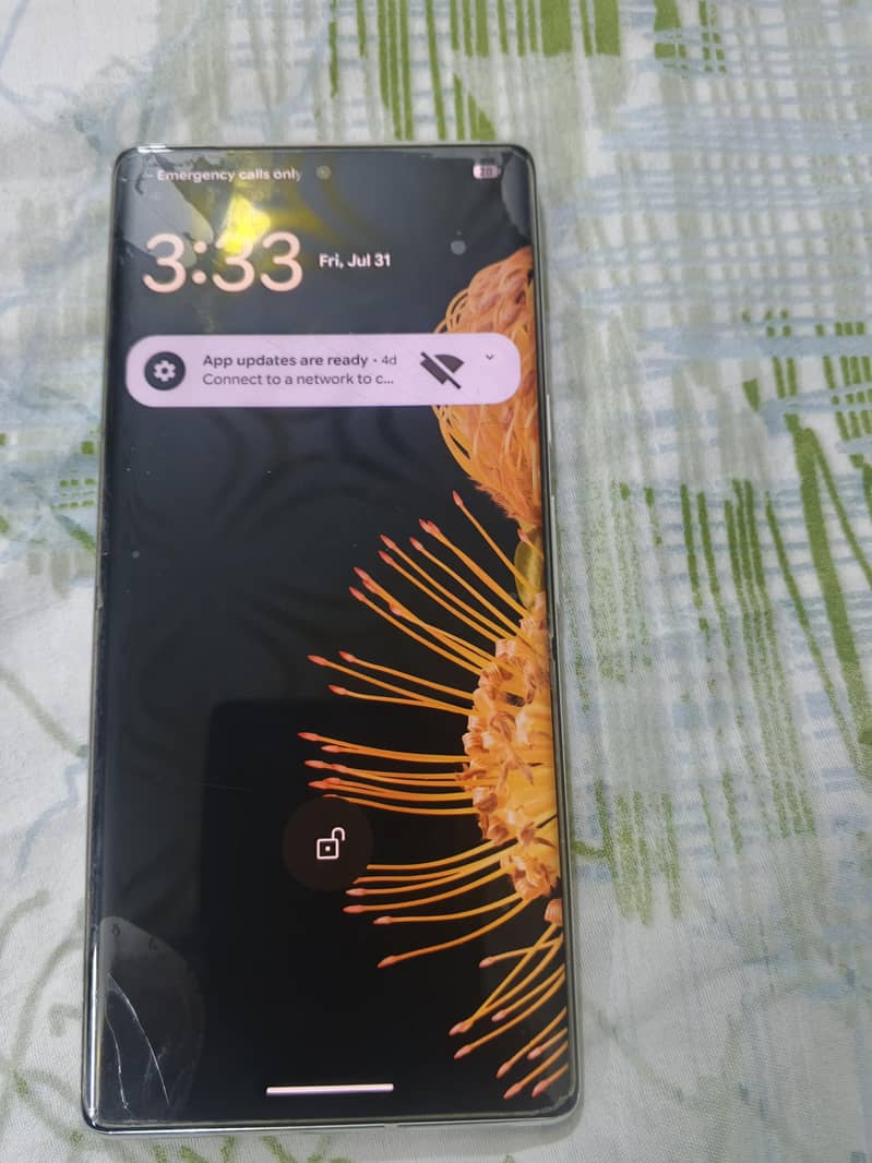 Google Pixel 6 Pro 1