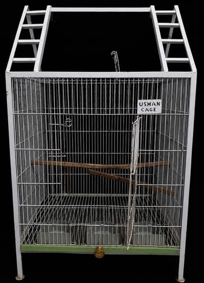 Birds Cage