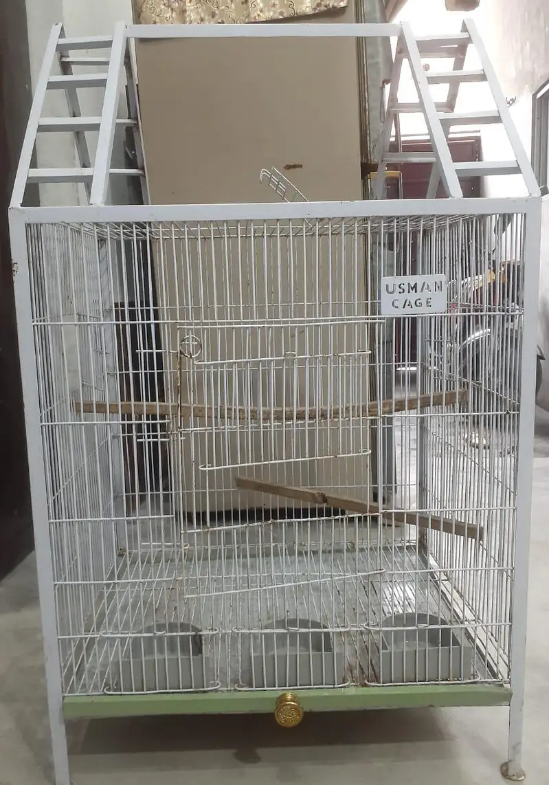 Birds Cage — photo 2