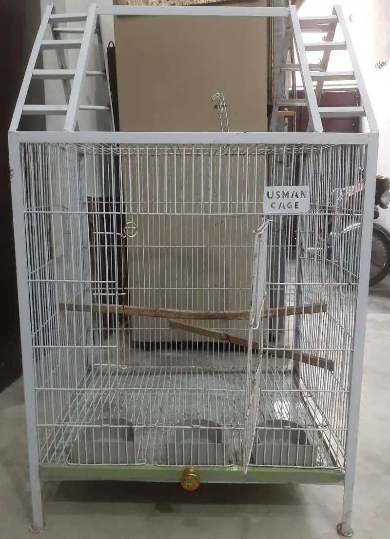 Birds Cage — photo 3