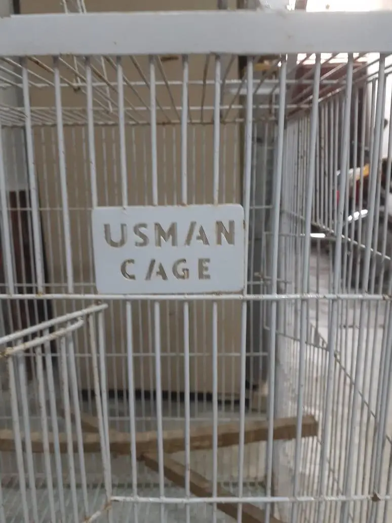 Birds Cage — photo 4