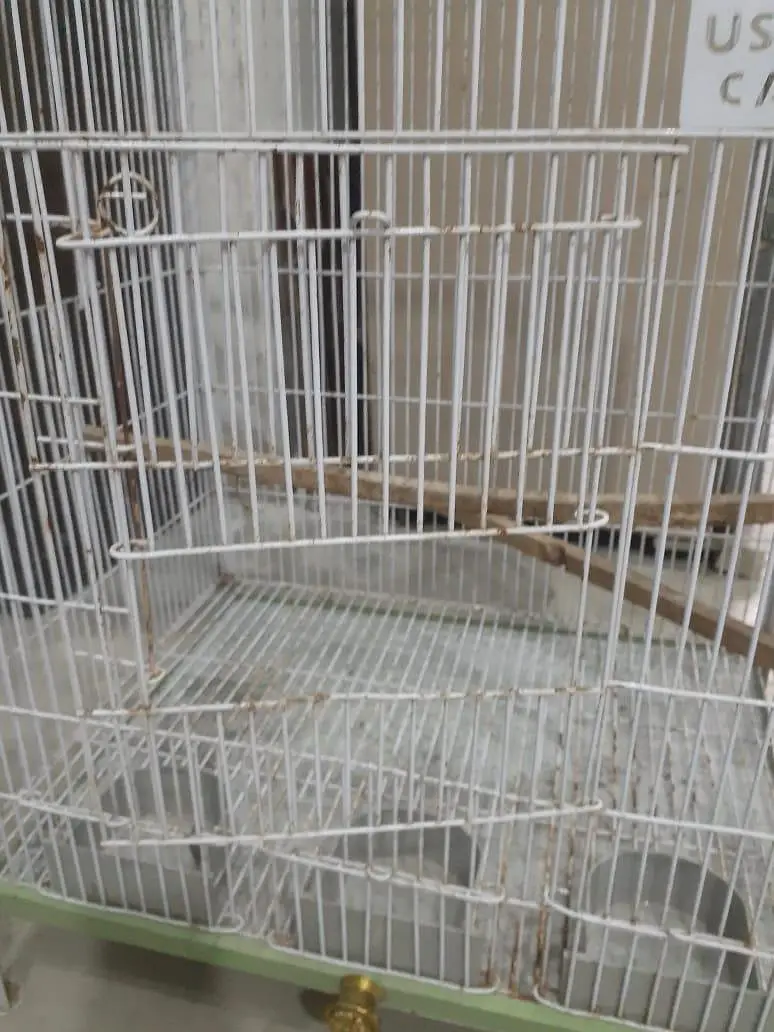 Birds Cage — photo 5
