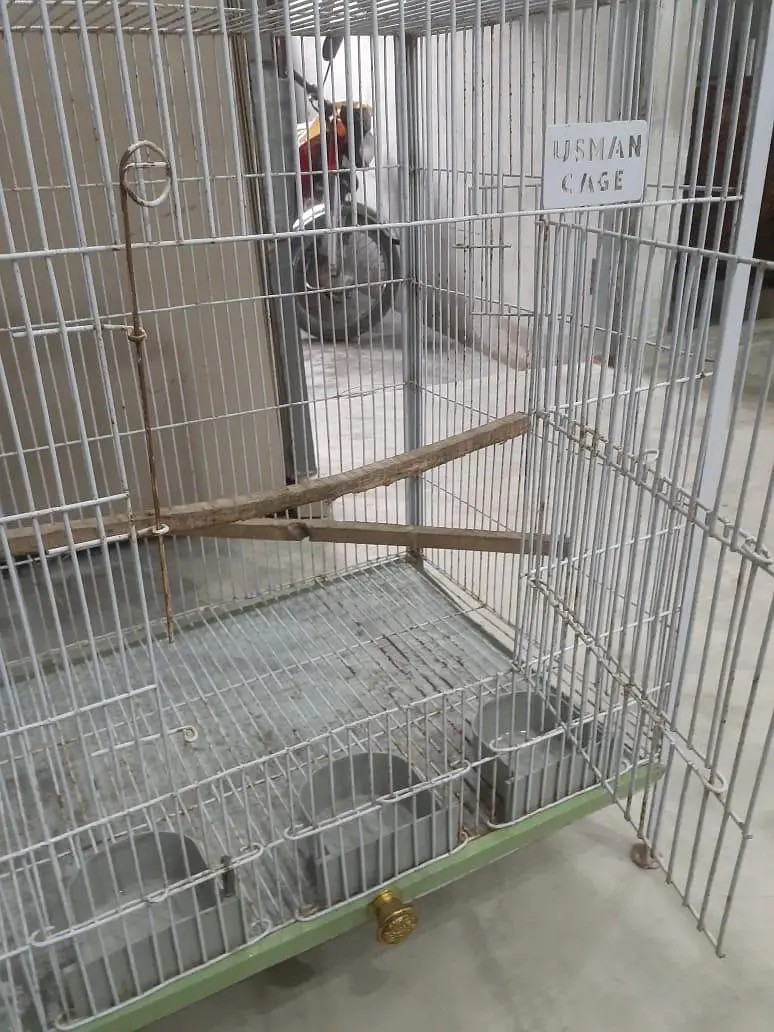 Birds Cage — photo 6