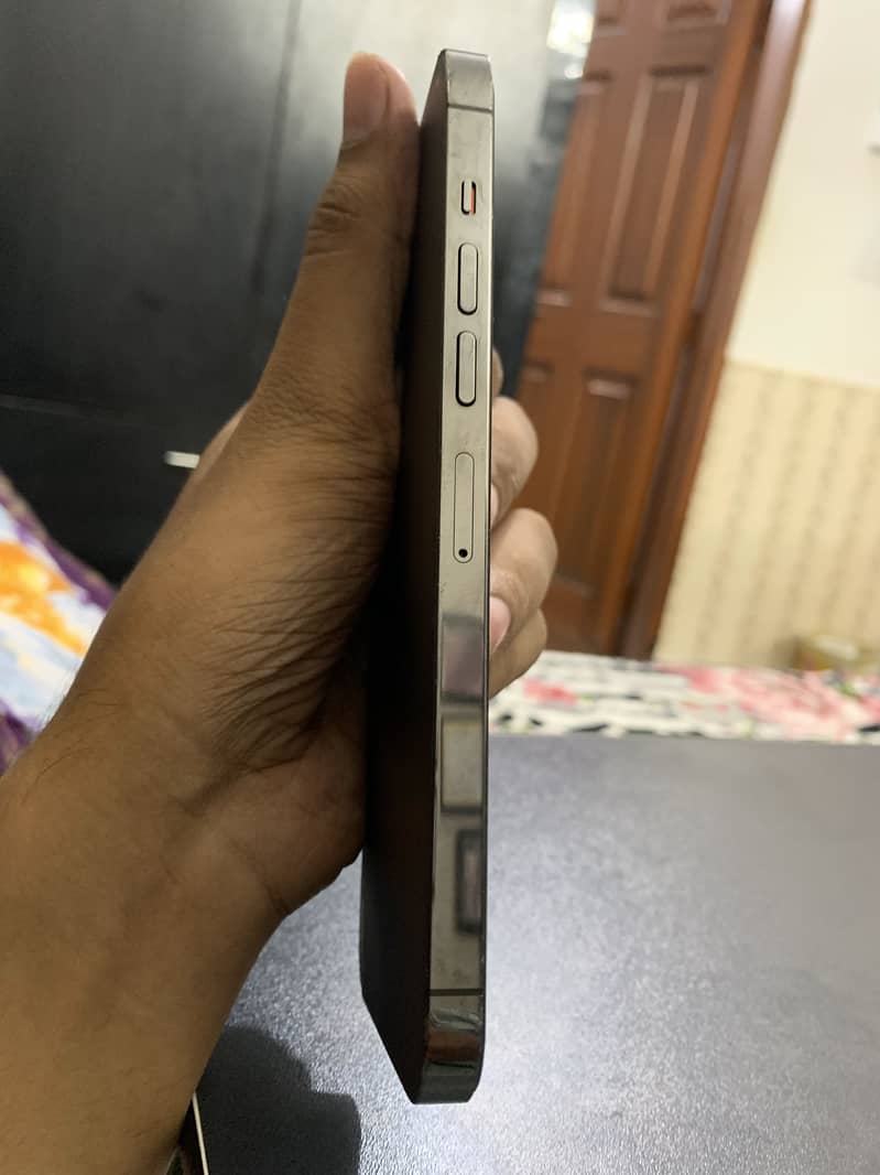 Apple iPhone 13 Pro Max 2