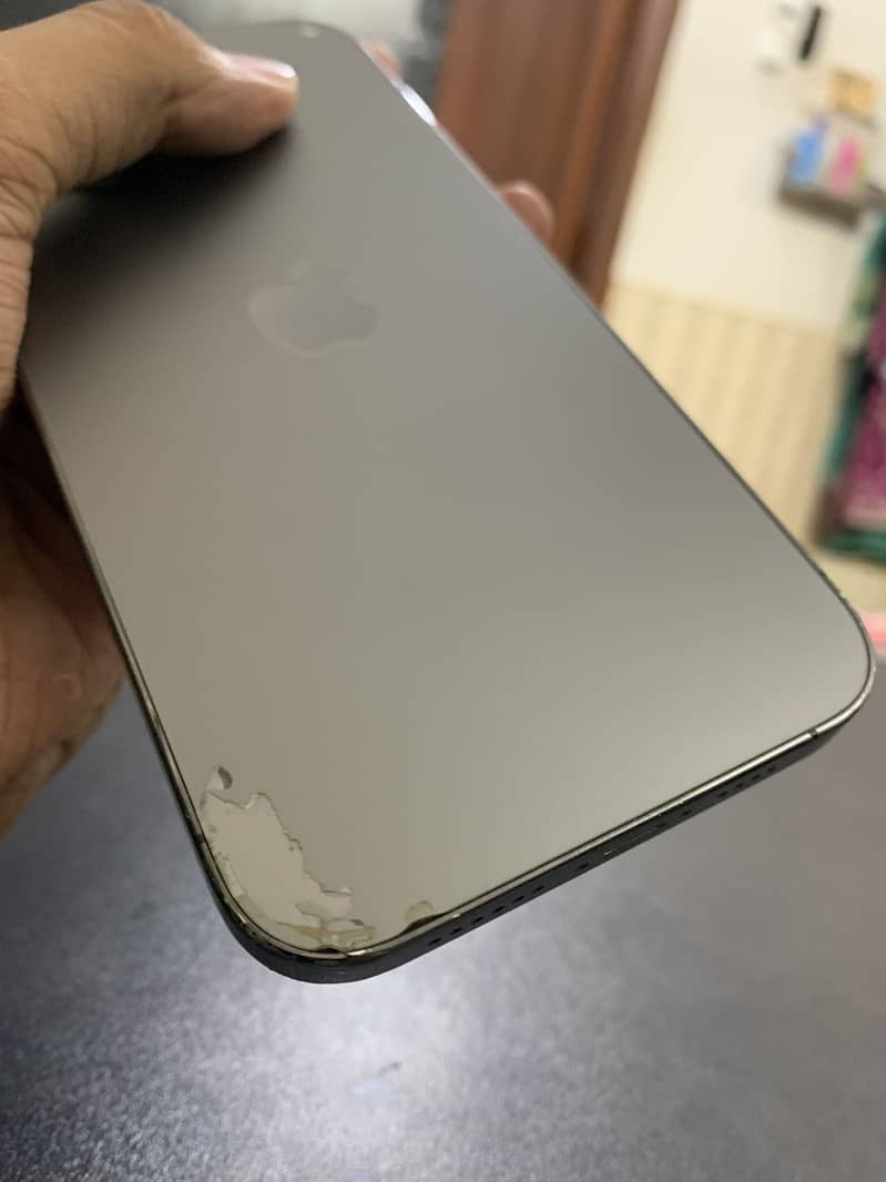 Apple iPhone 13 Pro Max 8