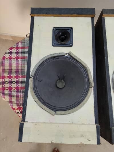 Woden outdoor speakers