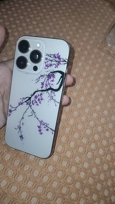iPhone 16 pro