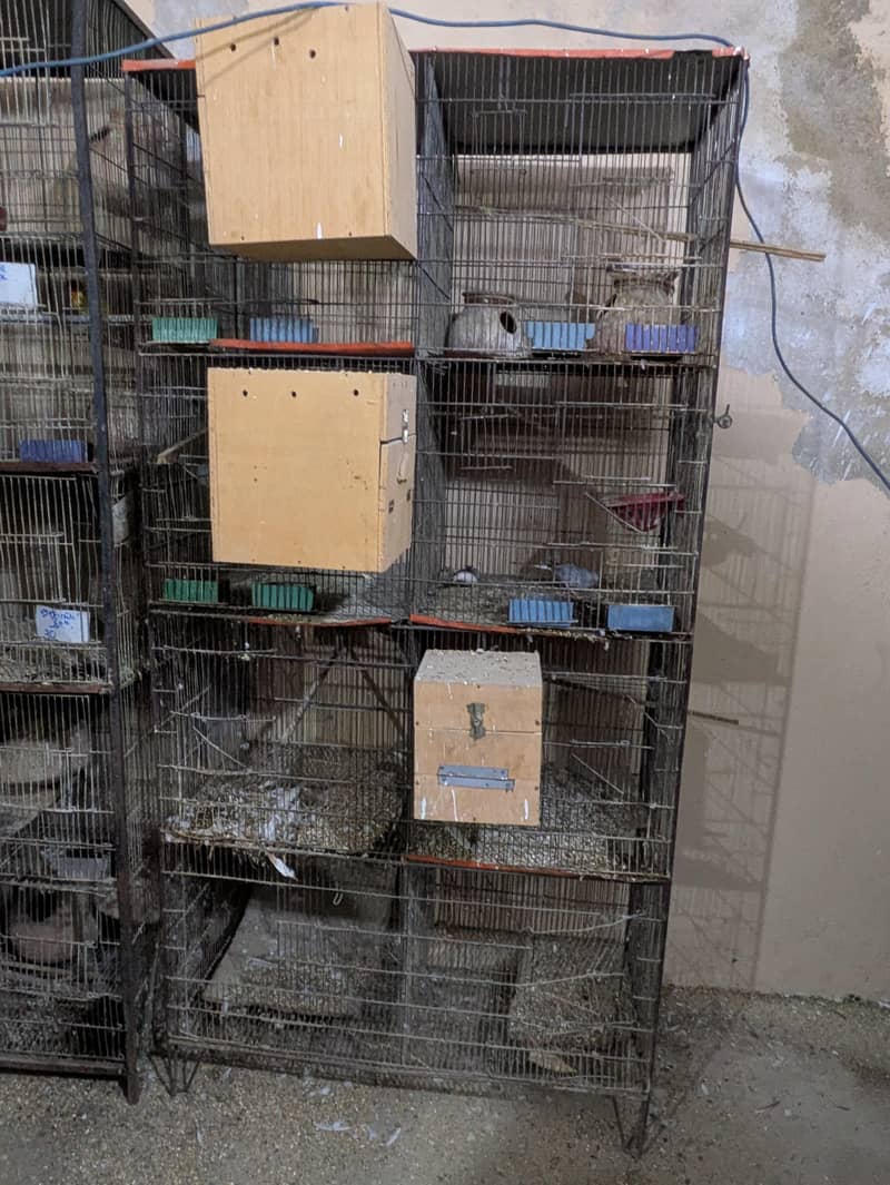 Bird Cage 0