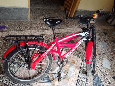 8-10 years cycle for kids.