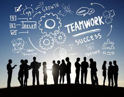 Sales Executive Manager