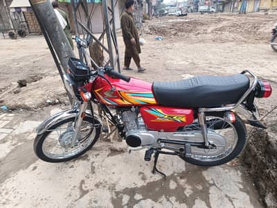 TOUSEEF ALI 03115955059