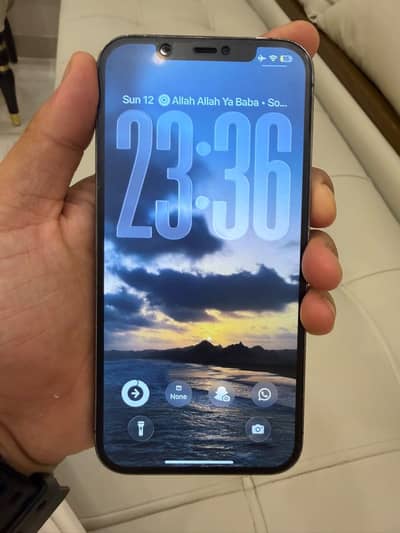 Apple iPhone 12 Pro Max